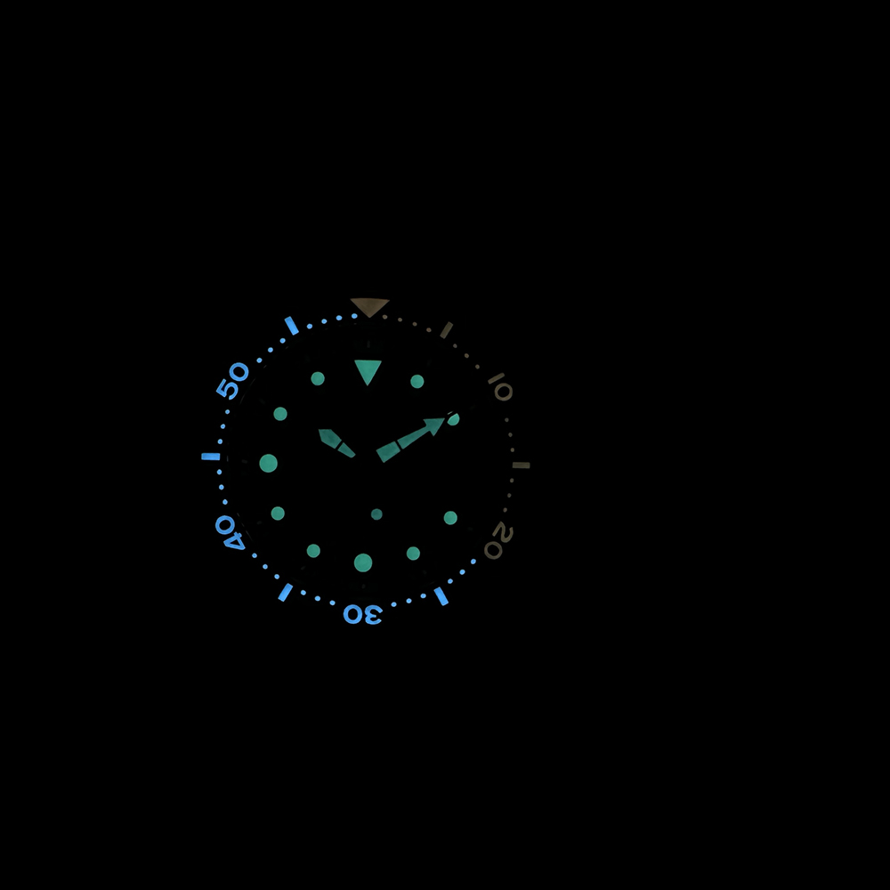 STEELDIVE 신제품 SD1975C 남성용 오토매틱 - Seiko Watch Prospex 리뷰 및 가격